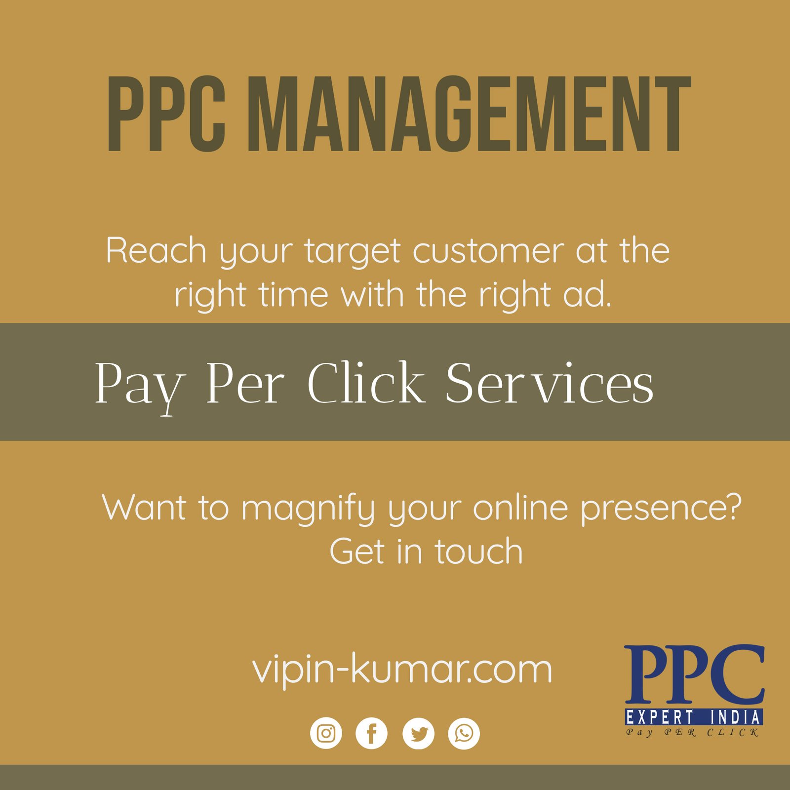 Google Ads Expert in India