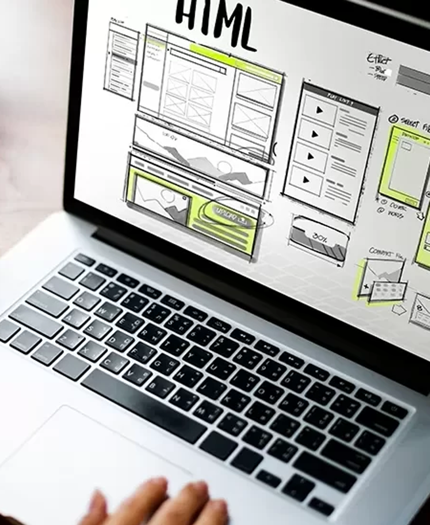 Website Designer in Delhi