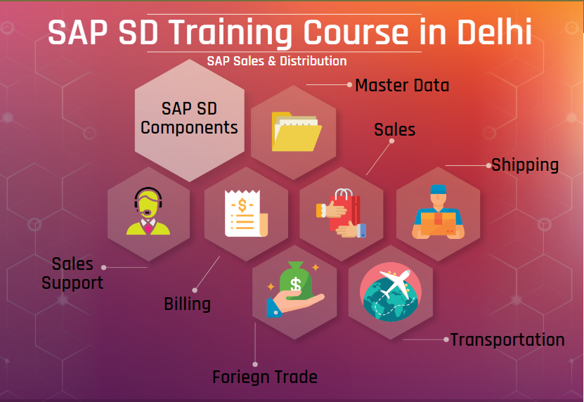 Online SAP SD Certification in Delhi, SLA Consultants, Best ERP Training Institute, 100% Job Support, 31Jan23 Offer, Free Data Analytics Course,