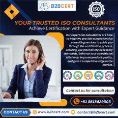 ISO-Consultants