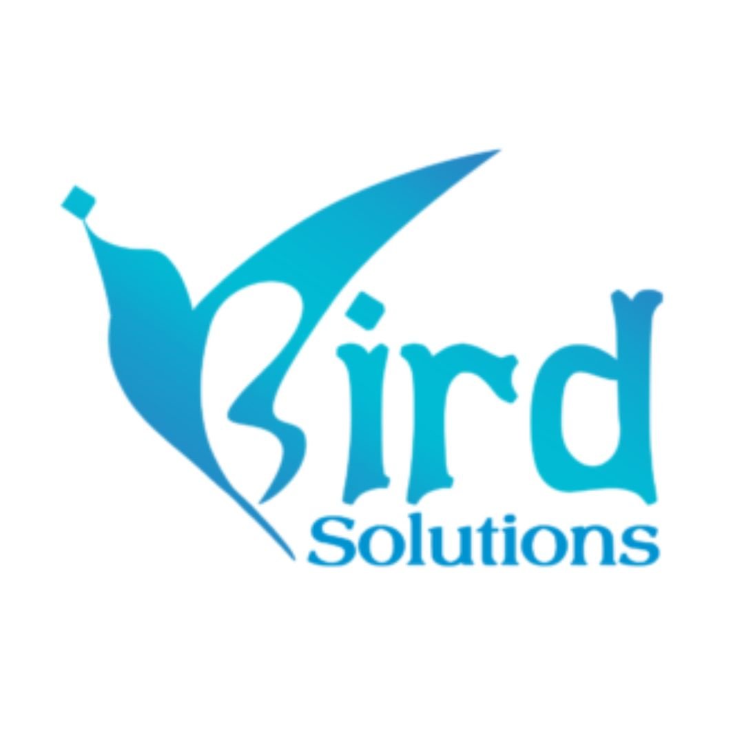 iBird Solutions – AI SEO, AEO, GEO, Digital Marketing & Website Development Company