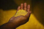 Gold Smelting in Uganda+256701757162 Congo,Côte d’Ivoire,Mauritania,Liberia