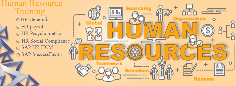 HR Institute in Delhi – Learn Modern Human Resource Management, Talent Development & Organizational Effectiveness with Free SAP HCM, HR Analytics with AI / MS Power BI Training, Advanced HR Learning Program by SLA Consultants India